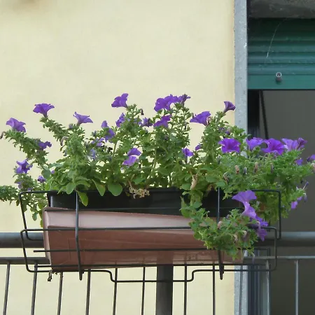 La Casa Delle Ortensie Bed & Breakfast
